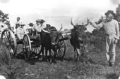 Oxen pulling cart filled with people