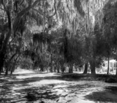 Street scene - Daytona Beach, Florida