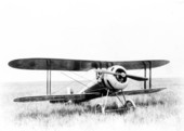 Airplane in a field in De Soto County