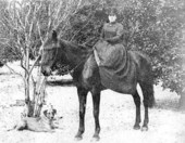 Lady rider and dog.
