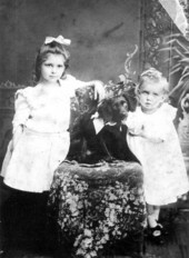Dog on chair with children
