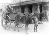 African American man in wagon being pulled by mule and horse.