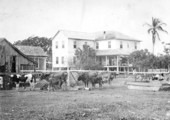 Rear view of George W. Storter residence.