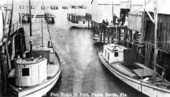 Fish boats in port at Punta Gorda.