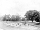 Garden - Orange County, Florida.