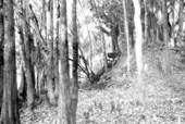 View of earth works at Fort Gadsden.