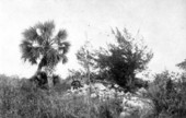 Remains of Fort San Marcos de Apalache - St. Marks, Florida.