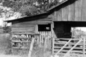 Barn in Gadsden County..