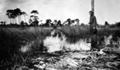 Sample stretch of Saint Lucie County road