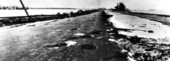 View of Miami after the hurricane.
