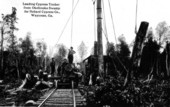 Hebard Cypress Company loading cypress timber from the Okefenokee Swamp
