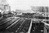 Sawmill : Hosford, Florida