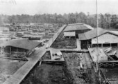 Sawmill : Hosford, Florida