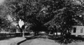 East Washington Street - Monticello, Florida