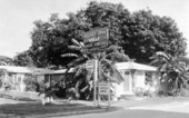 Banana Tree Grille : Key West, Florida.