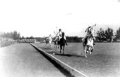 Polo in Miami Beach.
