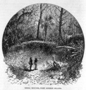 Shell mounds on Fort George Island