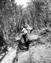 Workers constructing a mosquito control ditch - Dade County, Florida