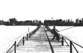Fishing pier : Naples, Florida.