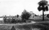 Nicco Nook gardens : New Port Richey, Florida