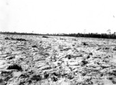 80 acres at North Farm.