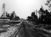West View Avenue : Winter Garden, Florida