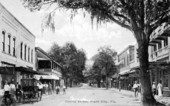 Collins Street : Plant City, Florida