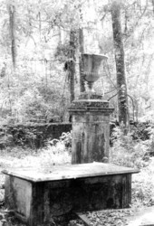 Ruins at Vedura Plantation - Leon County, Florida