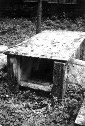 Cemetery at Vedura Plantation : Leon County, Florida