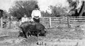 Grandparent and children with hog