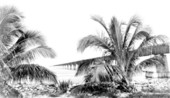 Overseas extension of Florida East Coast Railway looking south from Pigeon Key toward Moser Channel.
