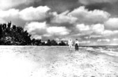 Tourists shelling - Sanibel Island, Florida.