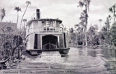"William Howard" leaving Eureka on the Oklawaha River