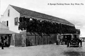 Sponge packing house - Key West, Florida