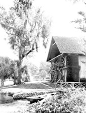 Water-wheel at De Leon Springs