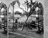 People standing around spring at Green Cove Springs.