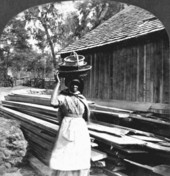 Aunt Hannah - Silver Springs, Florida