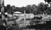 View of the spring - Silver Springs, Florida