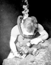 Diver with Mastodon teeth - Wakulla Springs, Florida