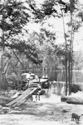 Diving platform : Wakulla Springs, Florida