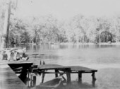 Dock with some recovered Mastodon bones : Wakulla Springs, Florida