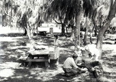 Family picnic - Myakka City, Florida