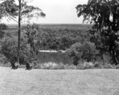 View of the Apalachicola river from the Gregory house