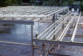 Construction of R.A. Gray building : Tallahassee, Florida