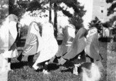 Children in parade dressed as Florida birds : Tallahassee, Florida