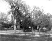 Lewis Park - Tallahassee, Florida.