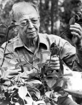 Red Barber in his garden