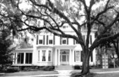 The Whitehouse - Tallahassee, Florida.