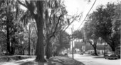Monroe Street - Tallahassee, Florida.