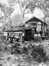 Turpentine distillery